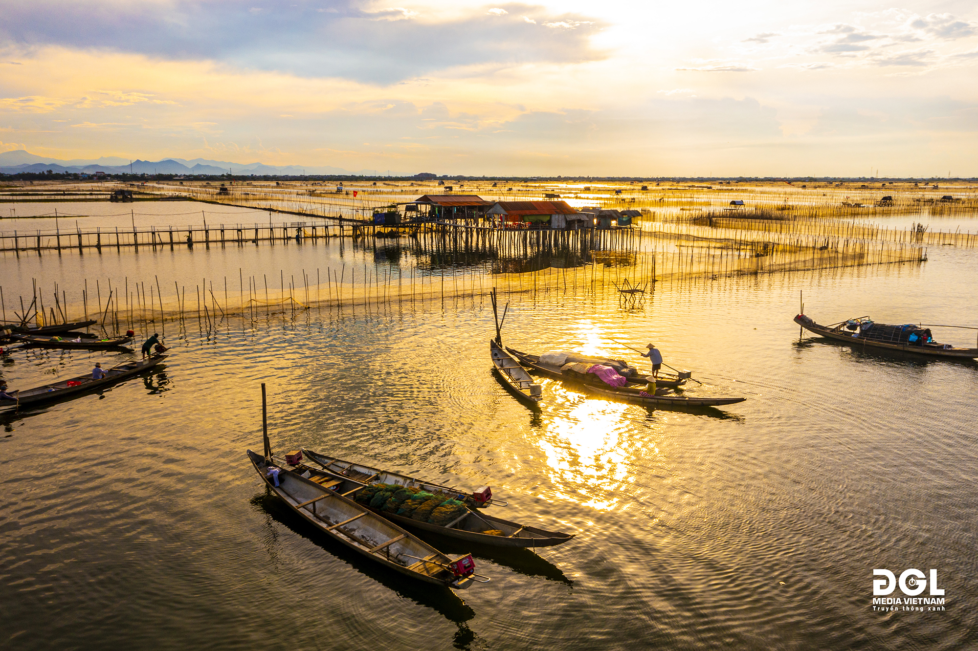 Đầm chuồn huế (2)